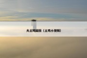 大土鸡回放（土鸡小视频）