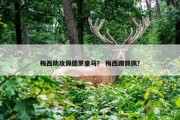 梅西助攻佩德罗皇马？ 梅西踢佩佩？