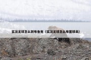 实况足球怎么到布鲁克（实况足球怎么布置球员）