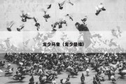 龙少马皇（龙少是谁）