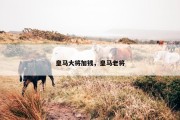 皇马大将加钱，皇马老将