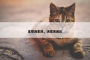 足球汤家凤，汤家凤团队