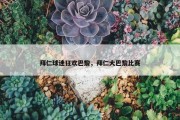 拜仁球迷狂欢巴黎，拜仁大巴黎比赛