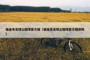 瑞金市足球公园项目介绍（瑞金市足球公园项目介绍资料）