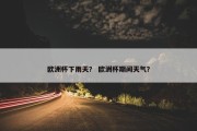 欧洲杯下雨天？ 欧洲杯期间天气？
