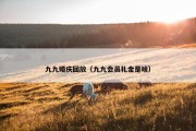 九九婚庆回放（九九会员礼金是啥）