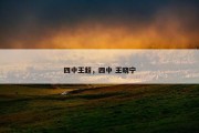 四中王超，四中 王晓宁