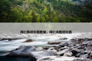 拜仁阵切尔西数据，拜仁大胜切尔西
