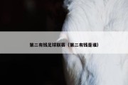 第二有钱足球联赛（第二有钱是谁）