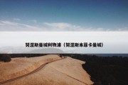 努涅斯曼城利物浦（努涅斯本菲卡曼城）