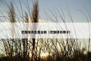 巴黎球衣出售全新（巴黎球衣牌子）
