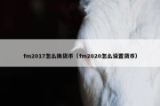 fm2017怎么换货币（fm2020怎么设置货币）