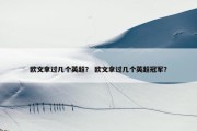 欧文拿过几个英超？ 欧文拿过几个英超冠军？