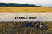 羞辱式进球头球（侮辱进球）