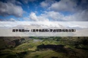 西甲梅西mv（西甲梅西和c罗进球数和助攻数）