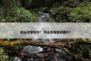 给山羊穿球衣？ 给山羊穿球衣图片？