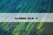 网上观看网站（网上看一下）