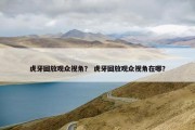 虎牙回放观众视角？ 虎牙回放观众视角在哪？