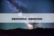 塔图姆季后赛麦迪（塔图姆赛季集锦）