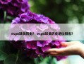 espn球员历史？ espn球员历史地位排名？