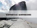 欧洲杯哪里可以买（欧洲杯哪里买球赛）