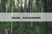 没落足球队，足坛近年来没落的球星
