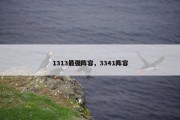1313最强阵容，3341阵容