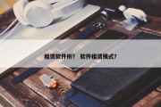 租赁软件析？ 软件租赁模式？