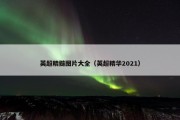 英超精髓图片大全（英超精华2021）