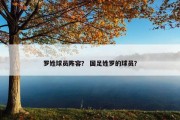 罗姓球员阵容？ 国足姓罗的球员？