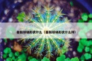 曼联球场形状什么（曼联球场形状什么样）