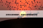 足球队队旗海报图片，足球队队旗海报图片高清
