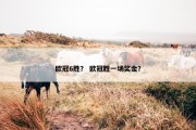 欧冠6胜？ 欧冠胜一场奖金？