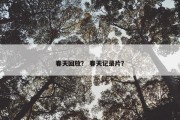 春天回放？ 春天记录片？