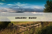 全潮汕足球队？ 潮汕球员？