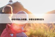 卡塔尔球队分析图，卡塔尔足球队实力