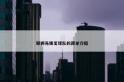邯郸先锋足球队的简单介绍