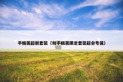 平精英超新套装（和平精英限定套装超会专属）