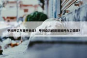 甲抵押乙东西甲偷走？ 甲将自己的房屋抵押向乙借款？