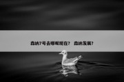 森纳7号去哪呢现在？ 森纳发展？