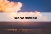 帕德切尔西？ 帕托在切尔西？