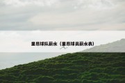 里昂球队薪水（里昂球员薪水表）