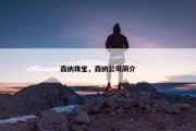 森纳珠宝，森纳公司简介