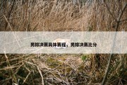 男排决赛具体赛程，男排决赛比分