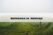 英超球星退役后去工地（英超球队退出）