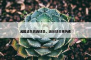 美国波兰巴西球员，波兰球巴西历史