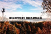 潍坊足球队老板谁呀（潍坊市足球俱乐部）