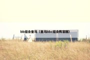 bb组合皇马（皇马bbc组合阵容图）
