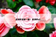 欧洲杯温情一幕？ 欧洲杯q？