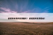 欧冠草皮奖杯高清图片？ 欧冠奖杯高清壁纸？
